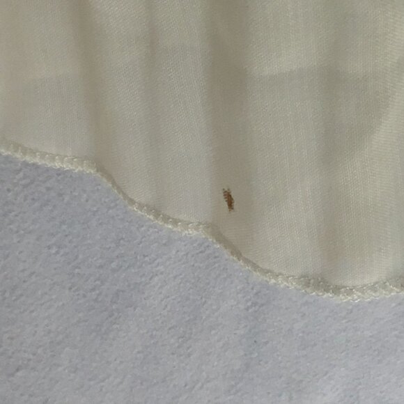 Alfani Sequined Sweater Long Sleeve Chiffon Hem Pullover Women's Sz  Small White - Picture 8 of 8